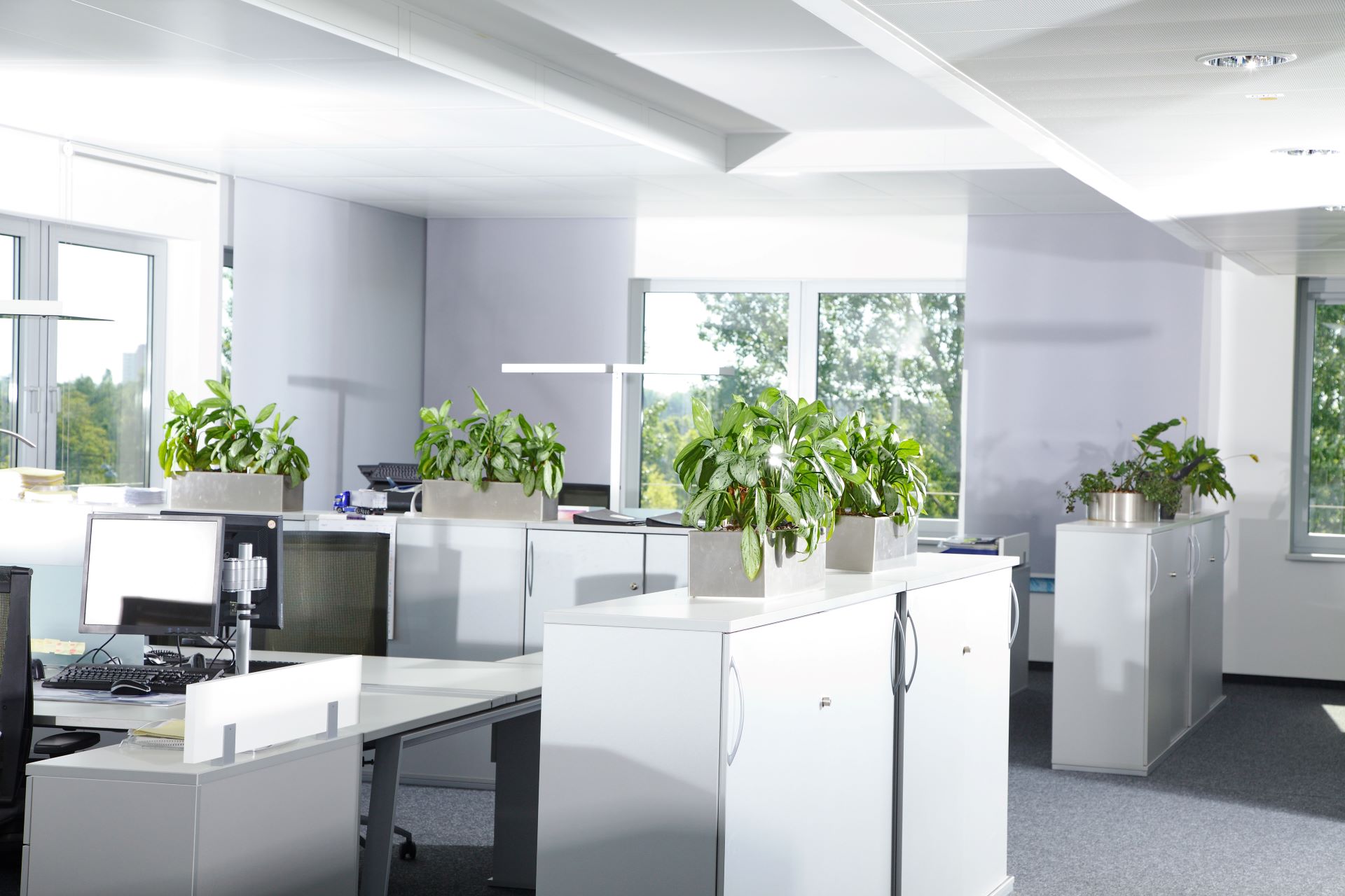 Resume Writing Port Macquarie NSW